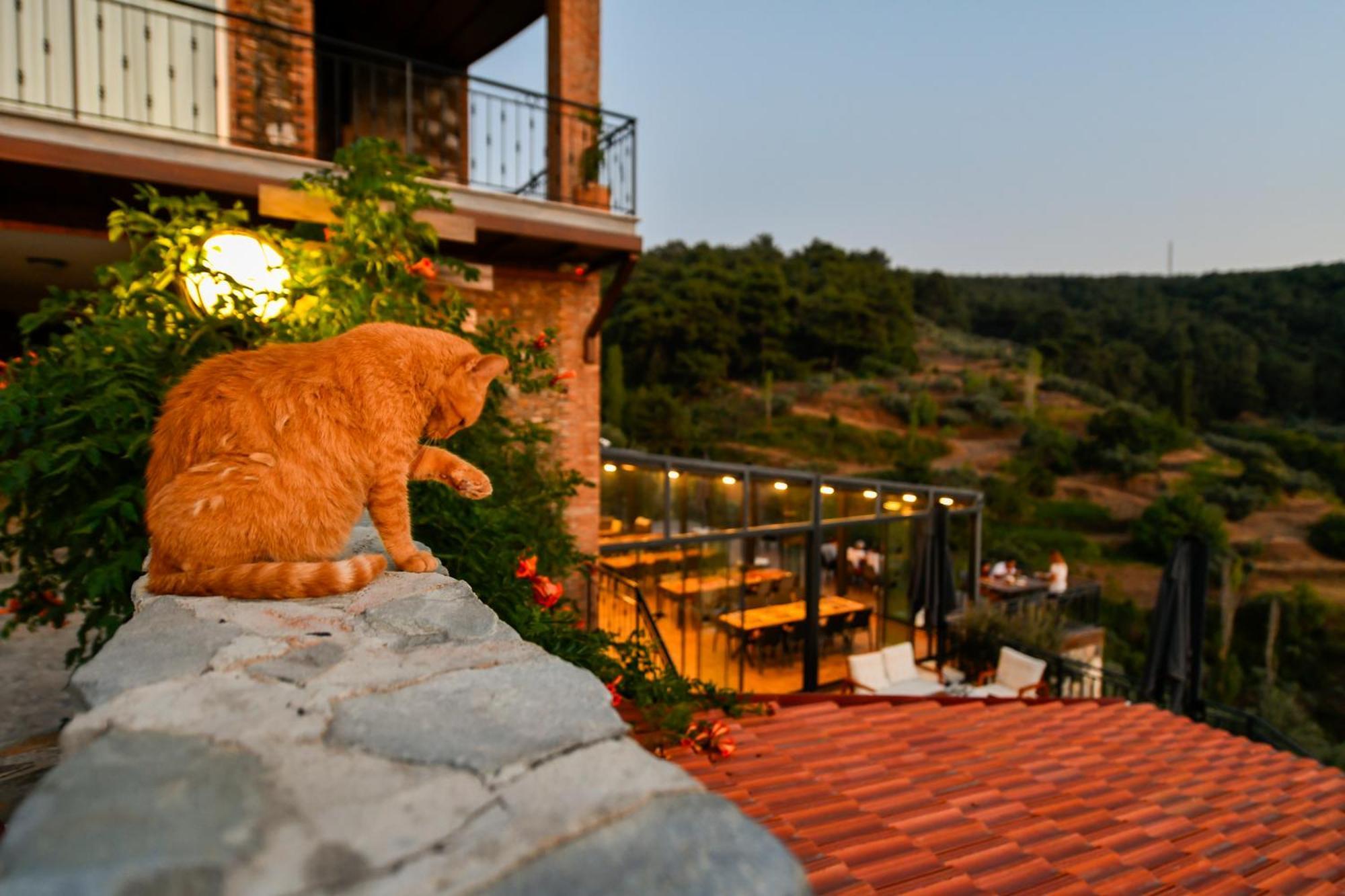 Ephesus Retreat Hotel Izmir Bagian luar foto
