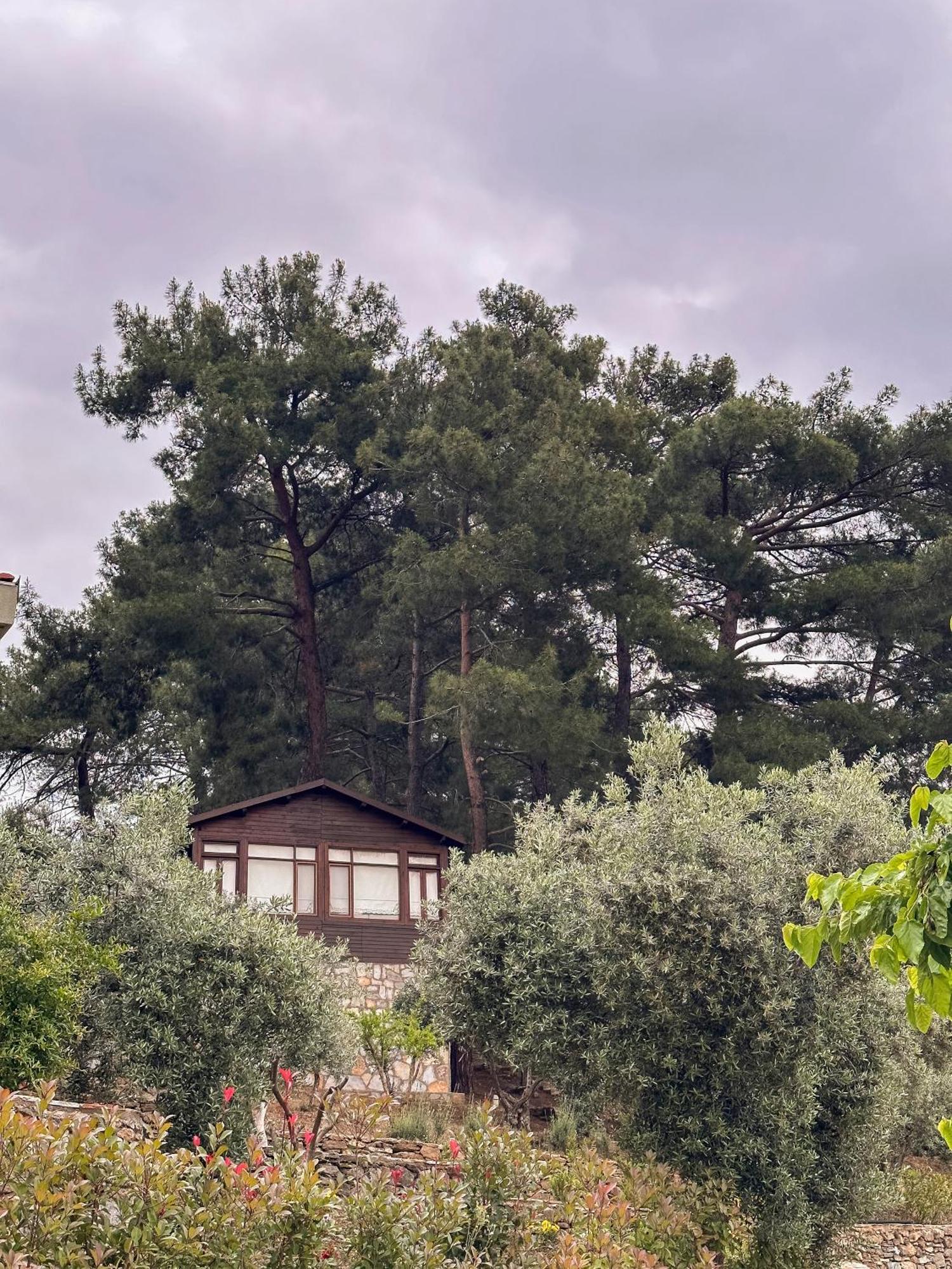 Ephesus Retreat Hotel Izmir Bagian luar foto